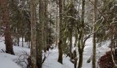 Percorso Racchette da neve Autrans-Méaudre en Vercors - Pas de Nave  - Photo 14