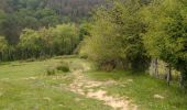 Trail Walking Urrugne - Sentier des mulets  - Photo 2