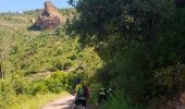 Excursión Bici de montaña Les Adrets-de-l'Estérel - les adrets 2019 - Photo 4