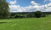 Tocht Paardrijden Fougerolles-Saint-Valbert - Vers fontaine des larrons 9kms - Photo 7