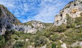Trail Walking Joucas - Gorges de Véroncle au départ de Joucas - Photo 15