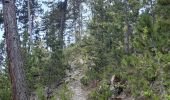 Randonnée Marche Embrun - rando suf le mpny guillaume montée par le torrent de Marthe  descentr par la route forestière de bois de  Vezin   - Photo 14