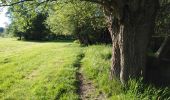 Trail Walking Blegny - entre barchon et Blegny  - Photo 11