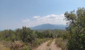 Tour Wandern Vivès - mme sentier de Vives  - Photo 12