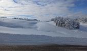 Excursión Raquetas de nieve La Pesse - La Pesse Embossieux /Le Lac de l'Embouteilleux  - Photo 10