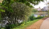 Randonnée Marche Ottignies-Louvain-la-Neuve - Promenade dans le Bois des Rêves et au Lac De Louvain-La-Neuve - Photo 7