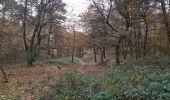Trail On foot Heerlen - Brunssummer Heide Lichtgroene route - Photo 3