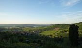 Tour Zu Fuß Löwenstein - Löwensteiner Rundwanderweg F - Photo 4