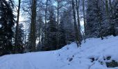 Randonnée Marche Ventron - Ventron col du colet  - Photo 11