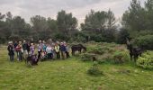 Trail Walking Tarascon - 2024-11-05 - Photo 5