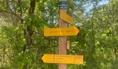 Trail Walking Trescléoux - Trescloux le Suillet - Photo 2