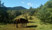 Tour Wandern Camurac - Les sept frères - Photo 3