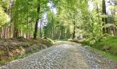 Tour Zu Fuß Warmensteinach - Warmensteinach Rundwanderweg Nr. 1 - Photo 2