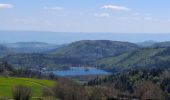 Trail Walking Chambon-sur-Lac - BOUCLE AUTOUR DE LA COUZE DE SURAINS - Photo 16