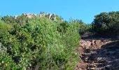 Tour Wandern Le Pradet - Mine de la Garonne 2-18-10-2024 - Photo 4