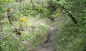 Excursión Senderismo Puy-Saint-Martin - La Montagne de Ste-Euphémie - Puy-St-Martin - Manas - Photo 11