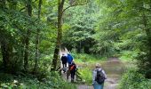 Randonnée Marche Libin - Transinne - Photo 8