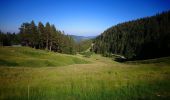 Tocht Stappen Soultzeren - Boucle Schildmatt / Lac vert / Auberge du Tanet - Photo 8