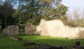 Tour Zu Fuß Dornburg-Camburg - Rundweg Camburg-Stöbnitz - Photo 4