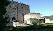 Excursión A pie Montesquiu - SL-C 129 Del Castell de Montesqui al Castell de Besora - Photo 3