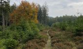 Tour Wandern Vielsalm - Prive - Photo 7