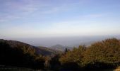 Trail On foot Stella - Stella Santa Giustina – Croce Monte Beigua - Photo 7