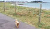 Tocht Stappen Penmarc'h - Sentier du littoral vers GUILVINEC - Photo 12