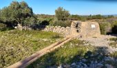 Excursión Senderismo Caves - Caves sentier des garrigues  - Photo 1