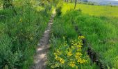 Tour Wandern Bouillon - Bouillon -  Dohan par GR AE - Photo 2