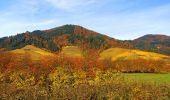 Percorso A piedi Lautenbach - Lautenbacher Hexensteig - Photo 6