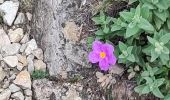 Tour Wandern Cazedarnes - TBG - ACAD - Abbaye de Fontcaude - Trace finale - Photo 5