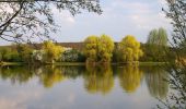 Tour Zu Fuß Vaihingen an der Enz - VE6 Bartenberg-Rundweg - Photo 5