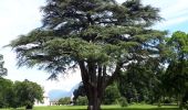 Randonnée Marche Sassenage - Tour de Combe Chaude + parc du château de Sassenage - Photo 1