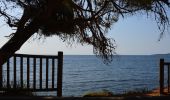Trail Walking Roquebrune-sur-Argens - Parc des Issambres - Notre Dame des Dolmens - Photo 7