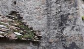 Excursión Senderismo Dramelay - des ruines de Dramelay à la cascade de Quinquenouille - Photo 3