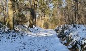 Tocht Stappen Belœil - stambrugges - Photo 2