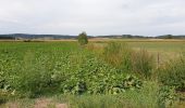 Tour Elektrofahrrad Ronse - Russeignies - Photo 12