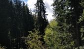 Tour Wandern Arâches-la-Frasse - les Carroz, tête de Saix boucle - Photo 1