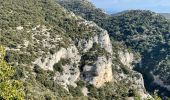 Randonnée Marche Bonnieux - PF-Bonnieux - Massif des Cèdres - Roque des Bancs - Les Portalas - AT - Photo 14