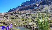 Trail Walking Oz - Oz en Oisans Cascade de La Fare - Photo 9