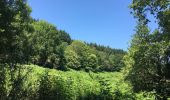 Randonnée Marche Courniou - Prouilhe et la Route forestière de la corniche - Photo 12