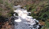 Trail Walking Jalhay - pont de belle heid la vallée de la hoegne - Photo 14