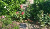 Trail Walking Theix-Noyalo - PR_56_Theix-Noyalo_DA_04_Les-Chapelles_Circuit3b_20250615 - Photo 15