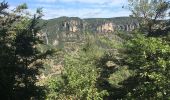 Percorso Marcia Veyreau - Corniche du Causse noir (Le point sublime)  - Photo 10