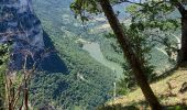 Randonnée Marche Saint-Julien-en-Vercors - La porte du Diable - Photo 17