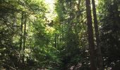 Trail Walking Saint-Pierre-d'Entremont - Circuit au cirque de saint même  - Photo 16