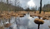 Tour Wandern Weismes - Sourbrodt - Photo 9