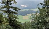 Tocht Stappen Autrans-Méaudre en Vercors - t4m j2 - Photo 15