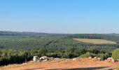 Tour Wandern Libramont-Chevigny - Banalbois - Photo 2