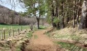 Tour Wandern Aydat - Puy de Vichatel - Photo 4